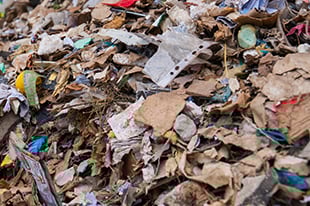 Morley Skips provides skips for schools